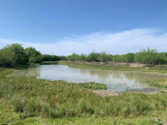 5 ACRES -LOT 28 CAMINO DEL ESTE, LAREDO, TX 78043, photo 5 of 22