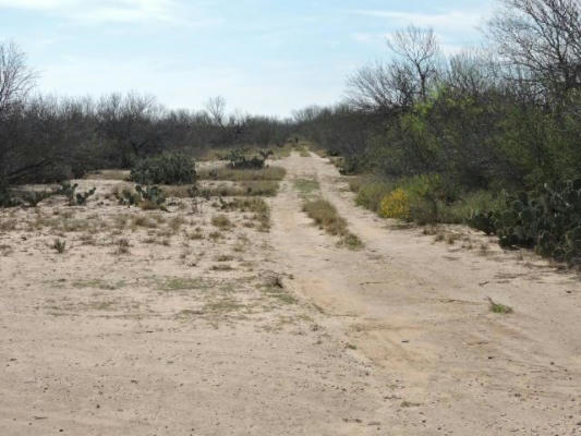 4532 FM 1917 OUT OF AREA, CARRIZO SPRINGS, TX 78834, photo 4 of 28