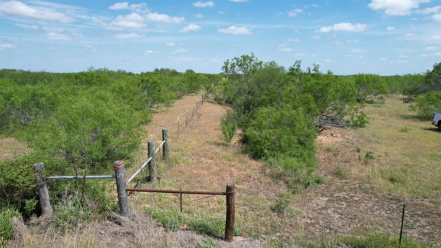TRACT 1 79.85 ACRE, REALTITOS, TX 78376, photo 5 of 20