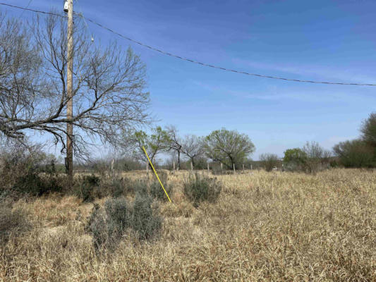 4796 N US HIGHWAY 83, SAN YGNACIO, TX 78067, photo 4 of 15