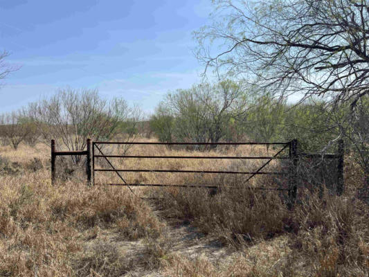 4796 N US HIGHWAY 83, SAN YGNACIO, TX 78067, photo 3 of 15