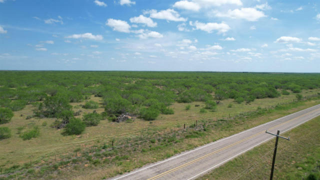 TRACT 1 79.85 ACRE, REALTITOS, TX 78376, photo 4 of 20