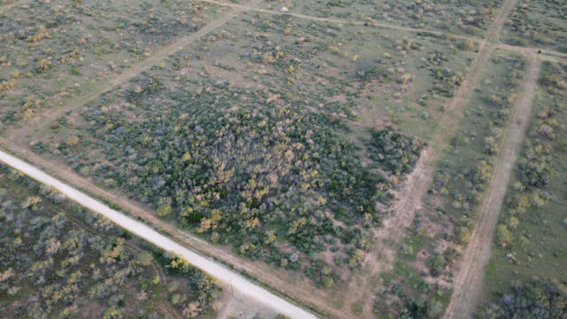 000 ABST 3075 (TRACT 3 D), OILTON, TX 78371, photo 4 of 9