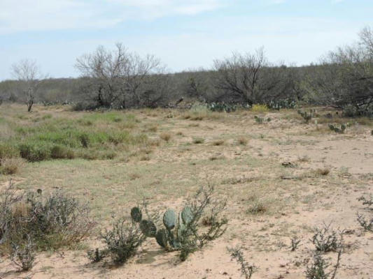 4532 FM 1917 OUT OF AREA, CARRIZO SPRINGS, TX 78834, photo 5 of 28