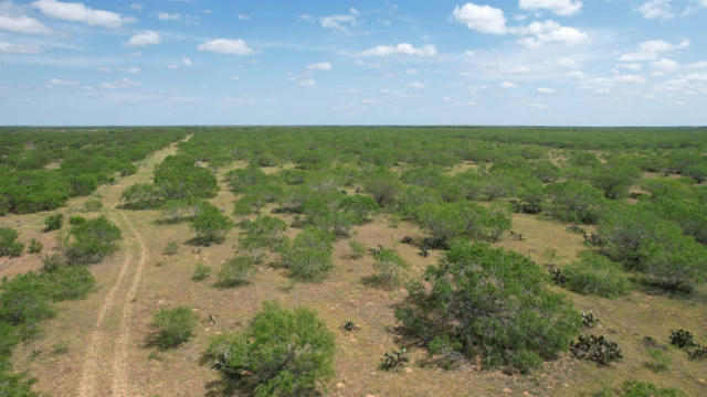 TRACT 1 79.85 ACRE, REALTITOS, TX 78376, photo 2 of 20